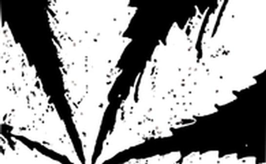 Cannabis-Check Cannabis-Check